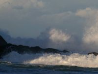 Wave at Maroubra Beach
