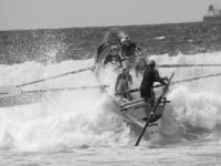 Competition at Maroubra Beach